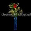 This is a rose I got for my wife on Valentines Day 2012. I couldn't resist taking it into the sudio after I saw how nicely she arranged it. The is shot with two different light sources from two different angles each.