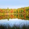 Order #BowmanLake This is a panorama please email for pricing.